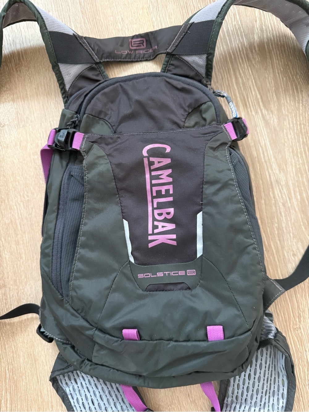 CamelBak Solstice Hydration Pack in Olive Green and Pink